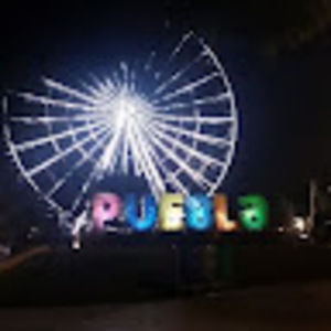 Meet your Posher, Curtis